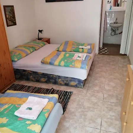 Badacsonyi Ifjusagi Kekturas- Privat Berlemeny