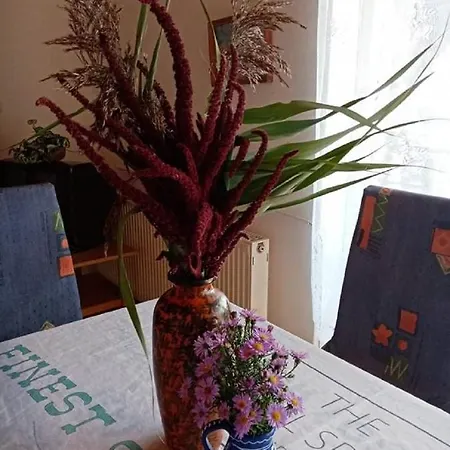 Kekturas-tora Nyilo Badacsonyi Privat Berlemeny Appartamento Badacsonytomaj