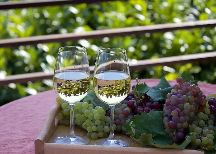 Kekturas-tora Nyilo Badacsonyi Privat Berlemeny アパート バダチョニトマイ